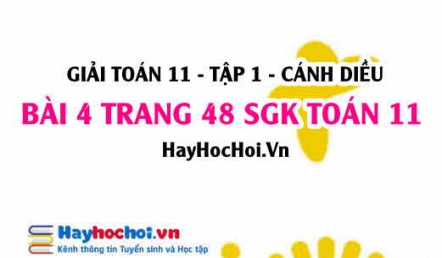 Giải bài 4 trang 48 Toán 11 tập 1 SGK Cánh Diều